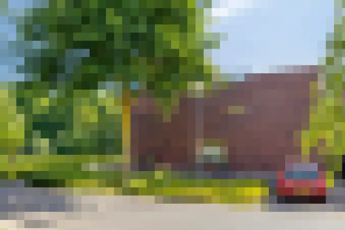 Grassavanne 58 Eindhoven thumbnail 45