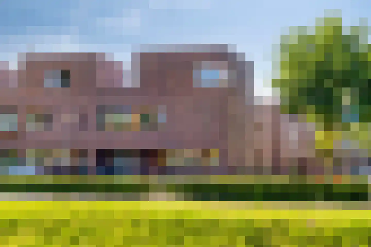 Grassavanne 58 Eindhoven thumbnail 46