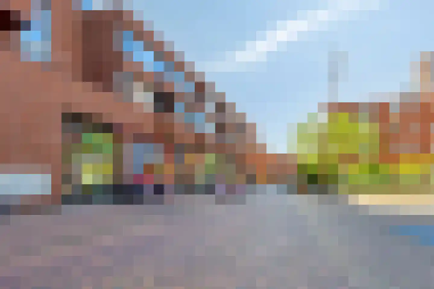 Grassavanne 58 Eindhoven thumbnail 49