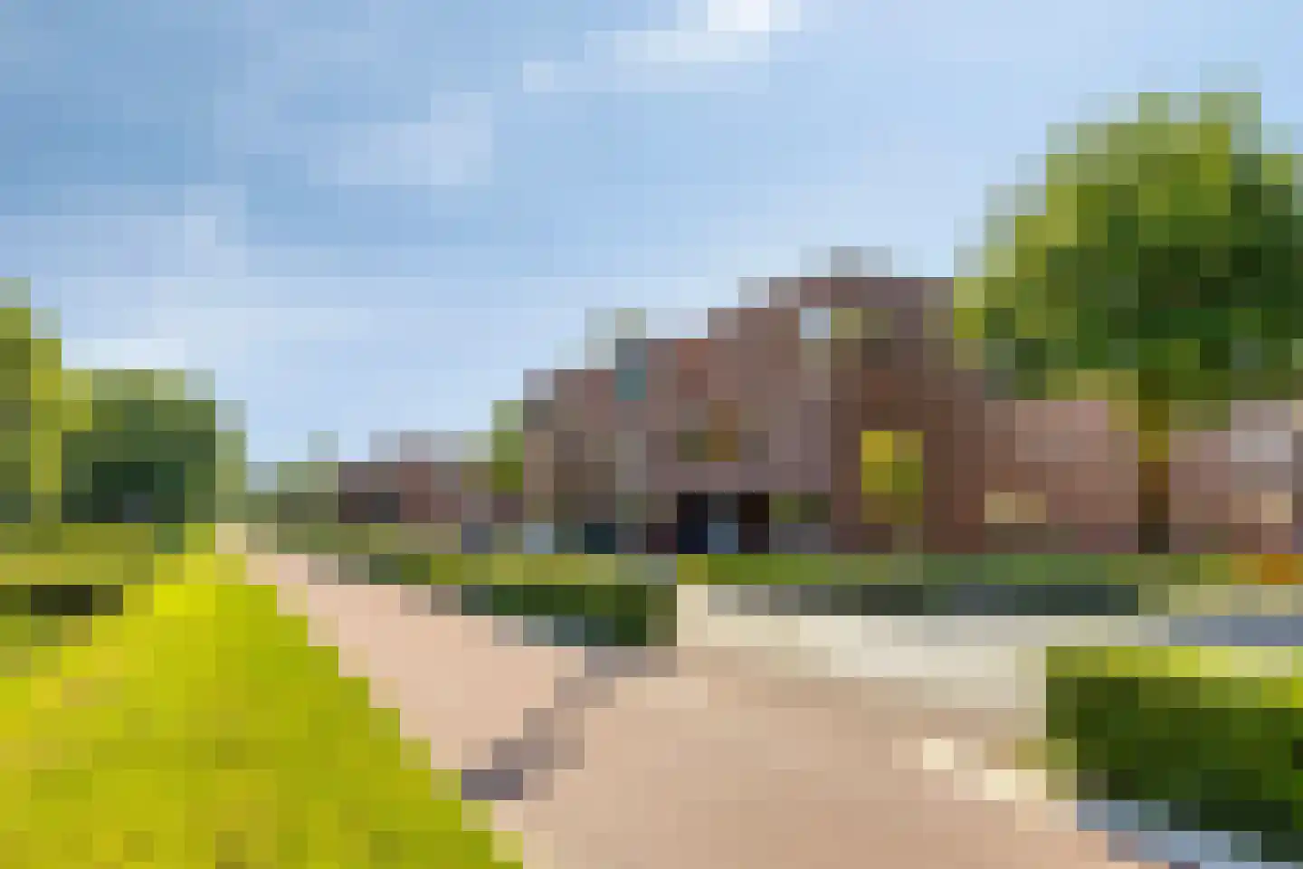Grassavanne 58 Eindhoven thumbnail 5