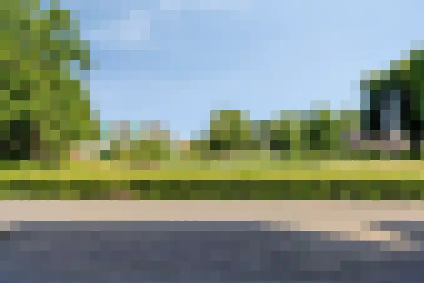 Grassavanne 58 Eindhoven thumbnail 6