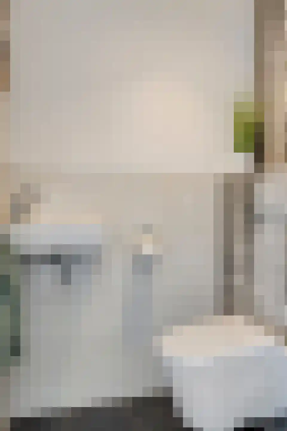 Grassavanne 58 Eindhoven thumbnail 8