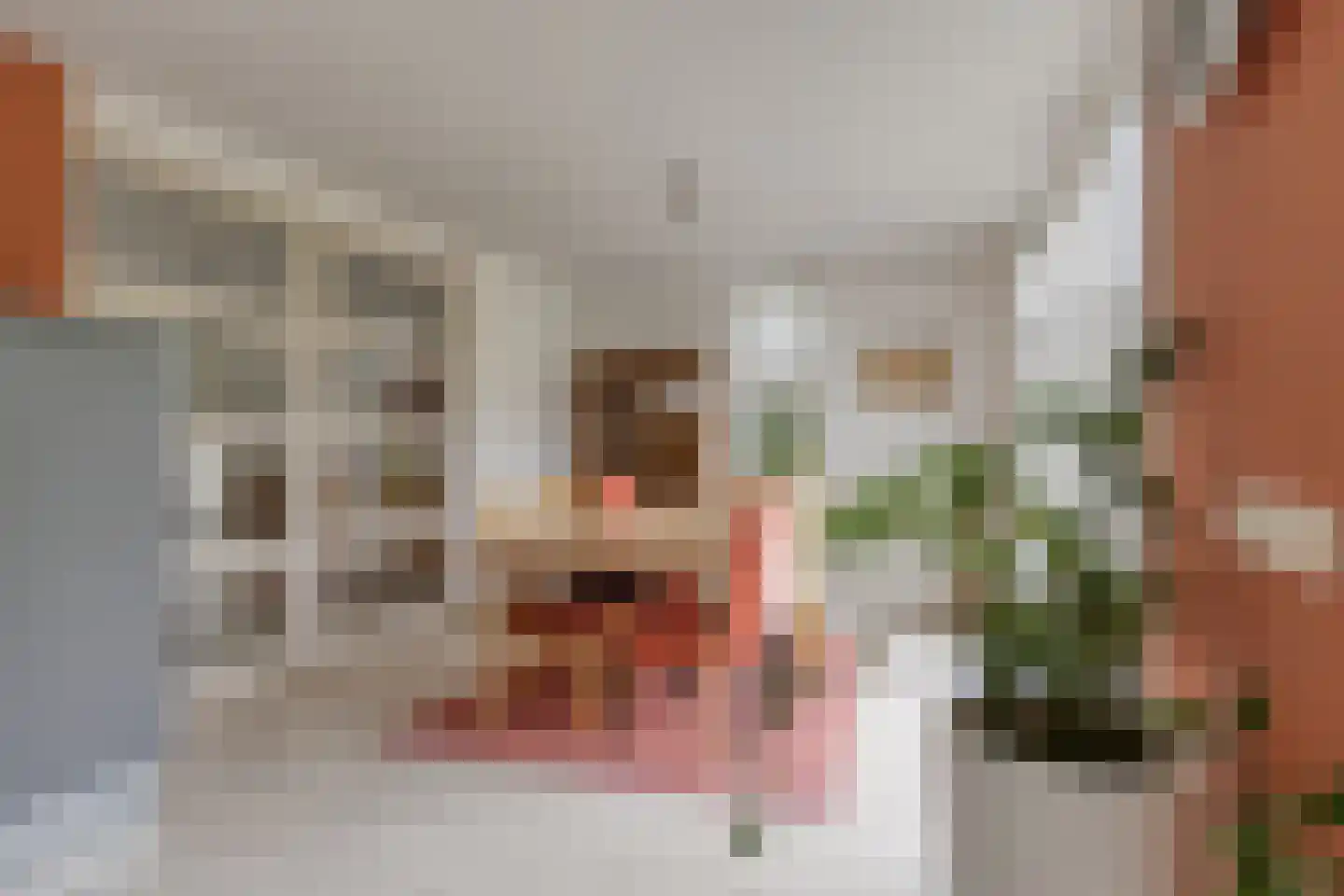 Grassijsje 11 Eindhoven thumbnail 14