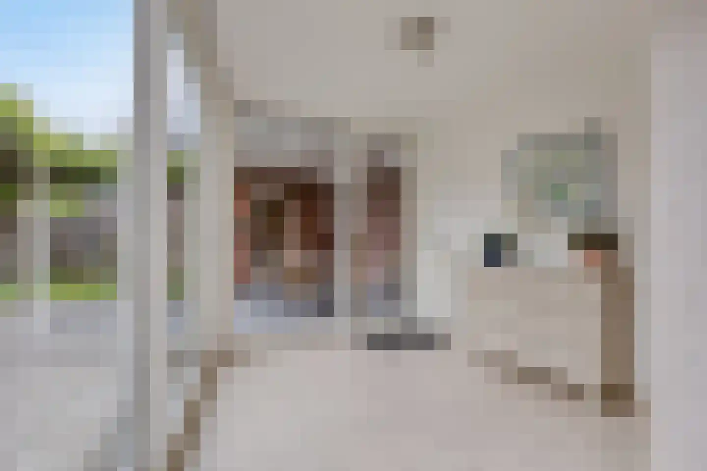 Grassijsje 11 Eindhoven thumbnail 19