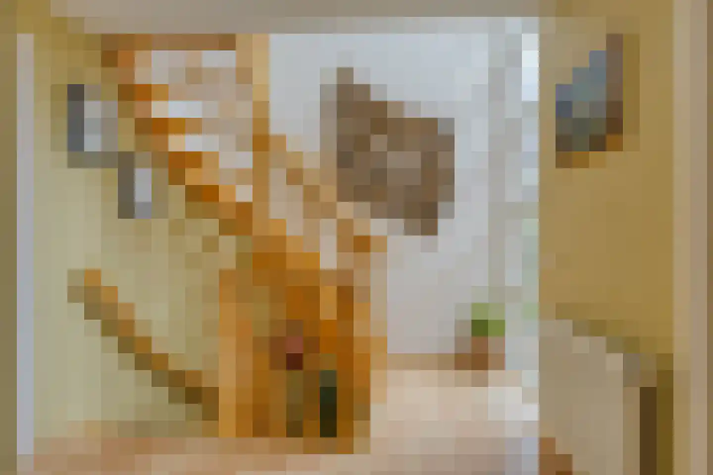 Grassijsje 11 Eindhoven thumbnail 23