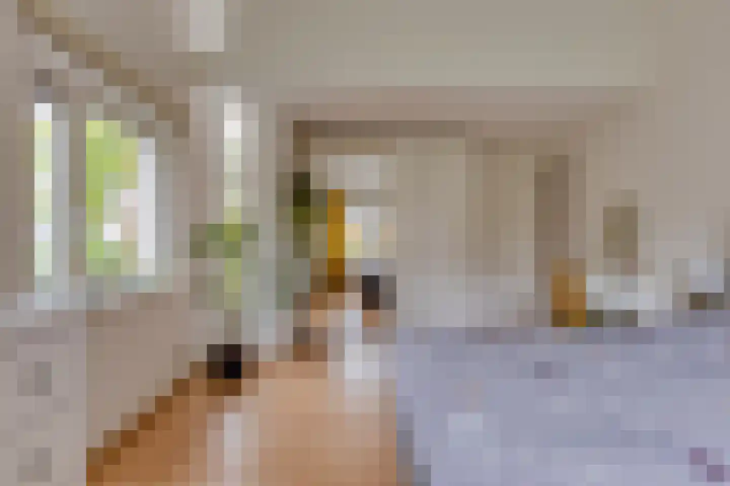 Grassijsje 11 Eindhoven thumbnail 25