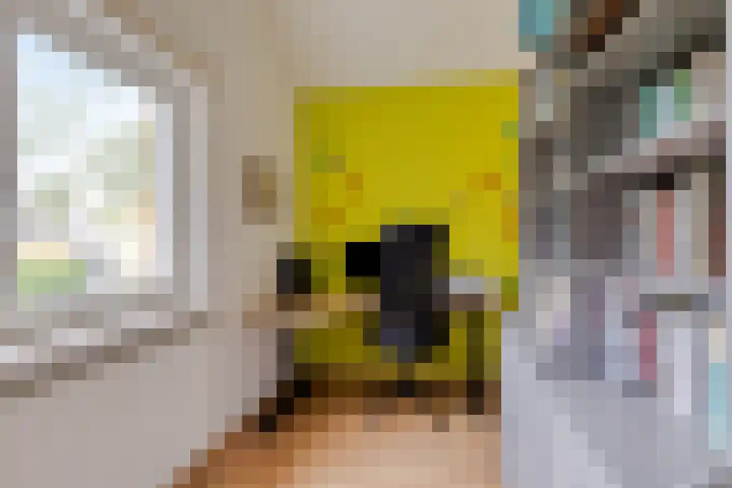 Grassijsje 11 Eindhoven thumbnail 31
