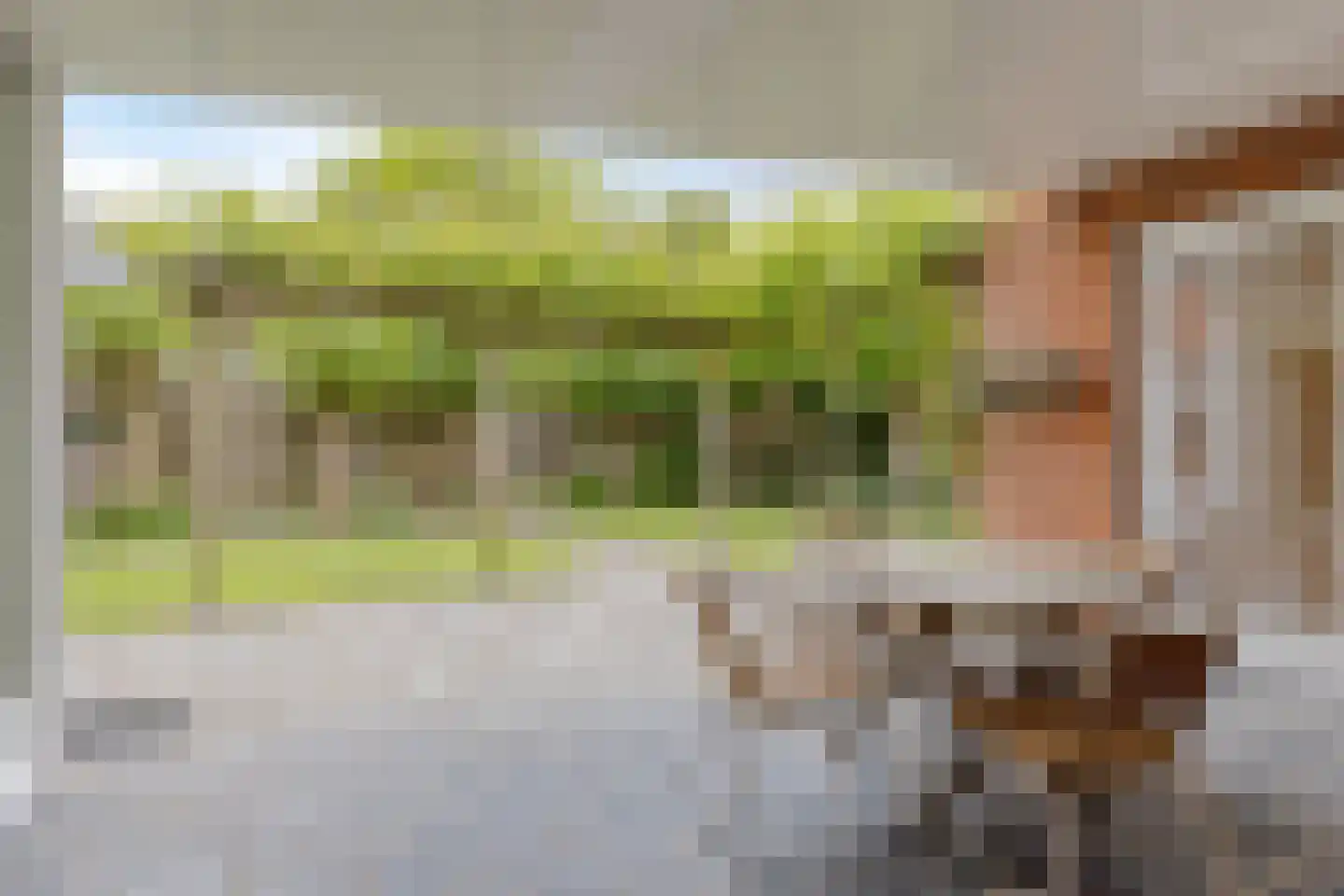 Grassijsje 11 Eindhoven thumbnail 36