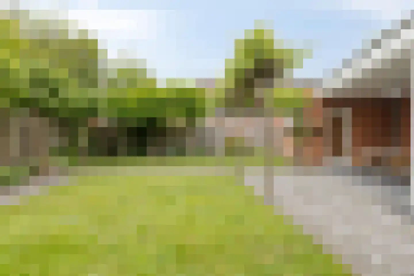 Grassijsje 11 Eindhoven thumbnail 37