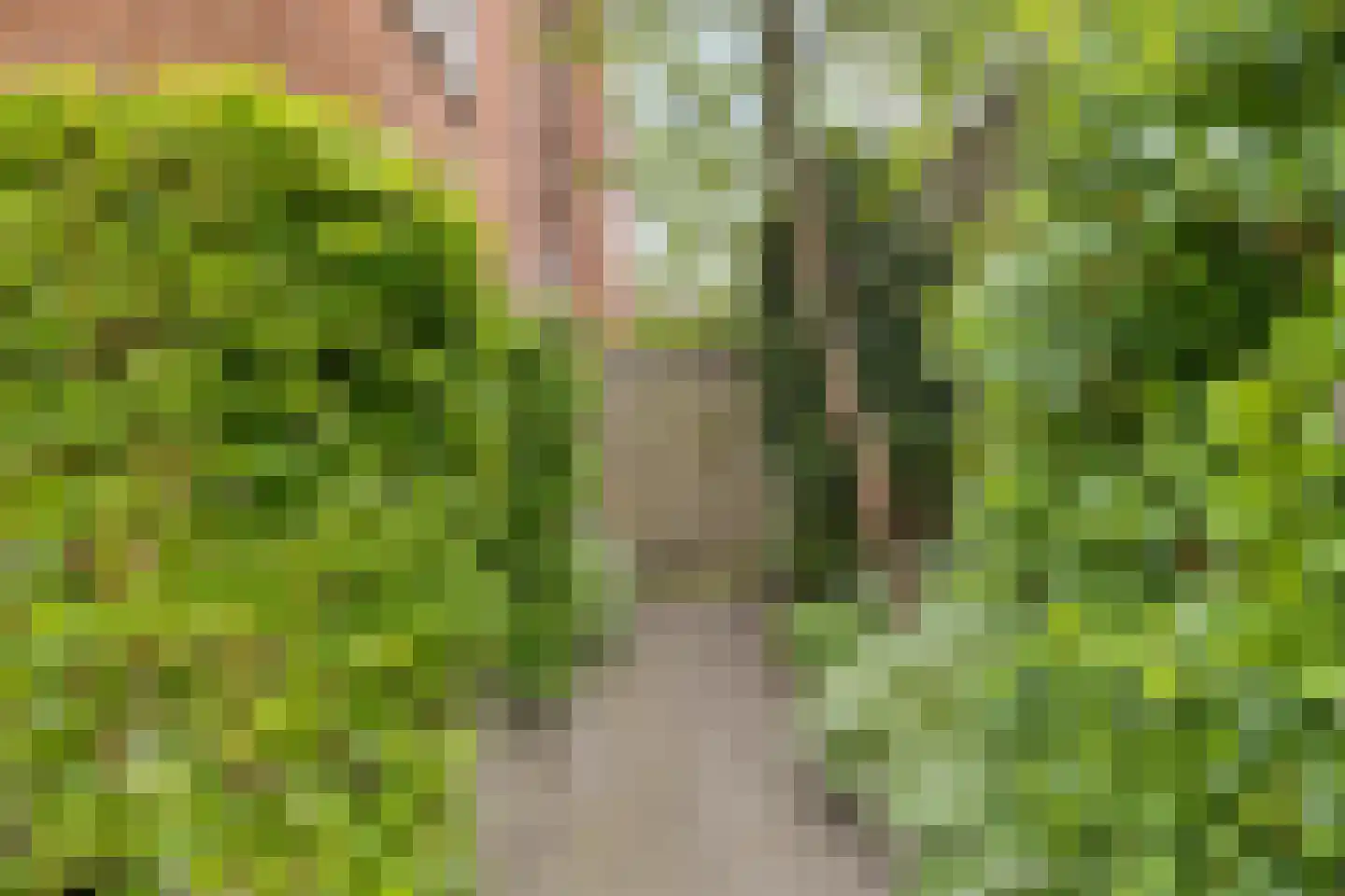 Grassijsje 11 Eindhoven thumbnail 40