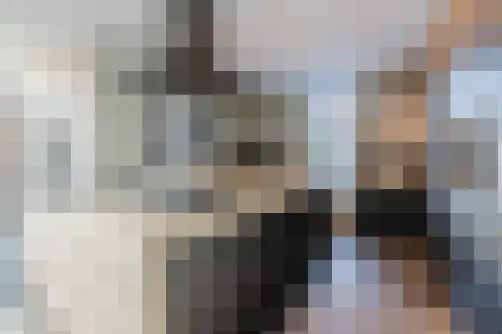 Grassijsje 12 Eindhoven thumbnail 11