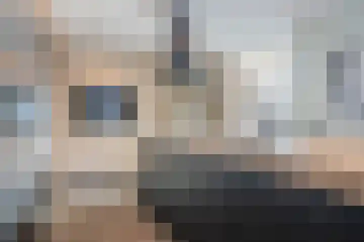 Grassijsje 12 Eindhoven thumbnail 12
