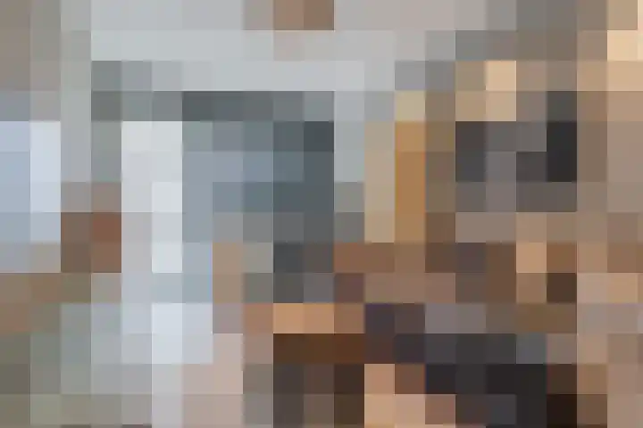 Grassijsje 12 Eindhoven thumbnail 14