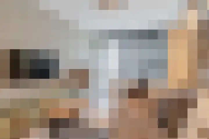 Grassijsje 12 Eindhoven thumbnail 15