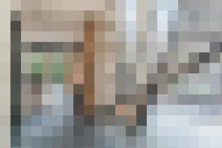 Grassijsje 12 Eindhoven thumbnail 23