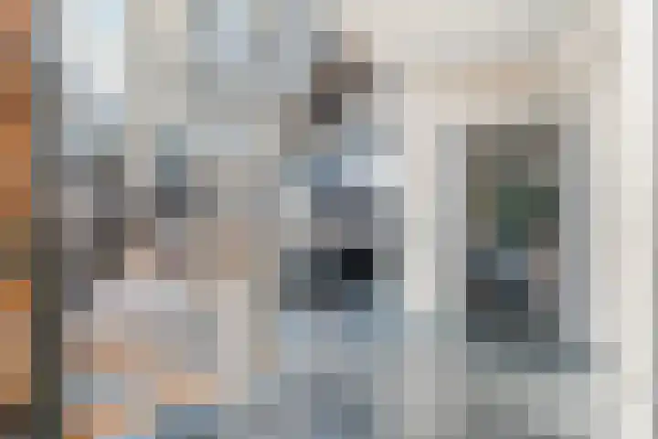 Grassijsje 12 Eindhoven thumbnail 24