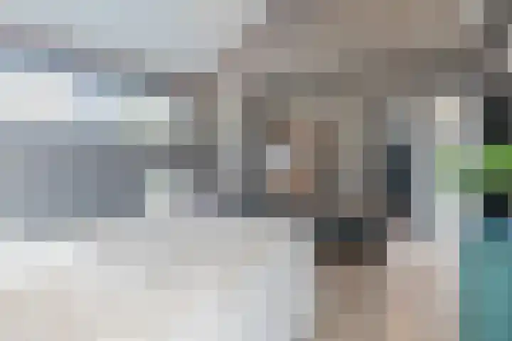 Grassijsje 12 Eindhoven thumbnail 29