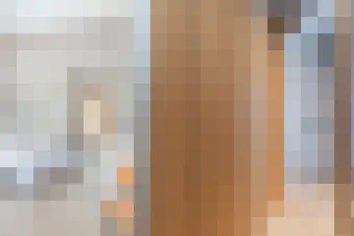 Grassijsje 12 Eindhoven thumbnail 30