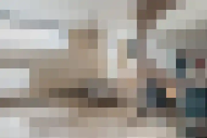 Grassijsje 12 Eindhoven thumbnail 31