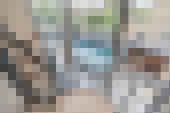 Grassijsje 12 Eindhoven thumbnail 39