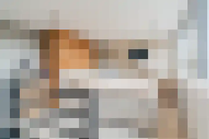 Grassijsje 12 Eindhoven thumbnail 41
