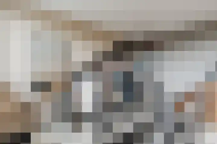 Grassijsje 12 Eindhoven thumbnail 42
