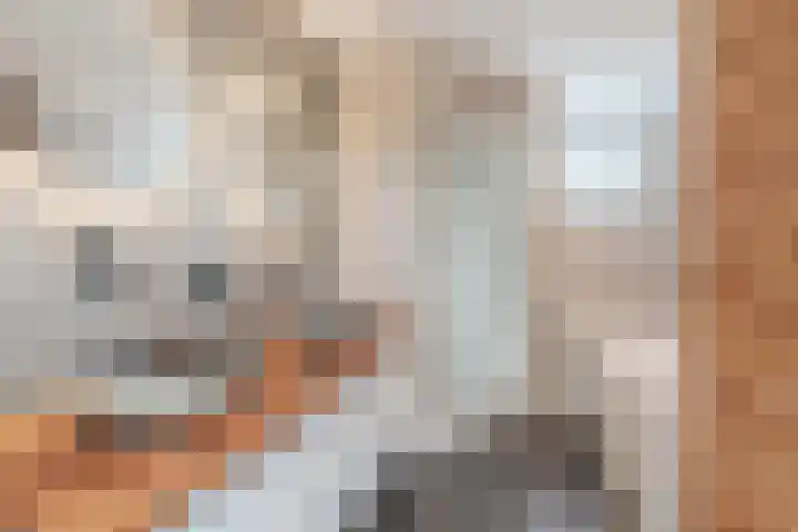 Grassijsje 12 Eindhoven thumbnail 43