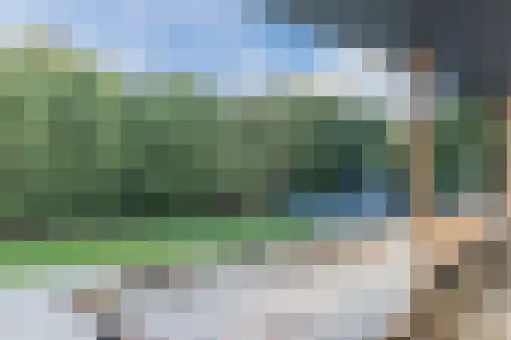 Grassijsje 12 Eindhoven thumbnail 48