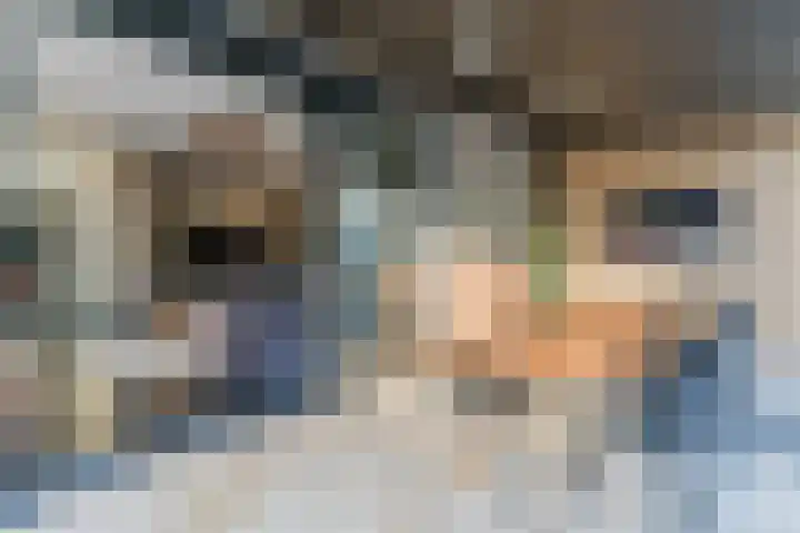 Grassijsje 12 Eindhoven thumbnail 49