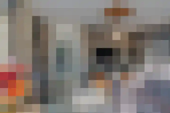 Grassijsje 12 Eindhoven thumbnail 5