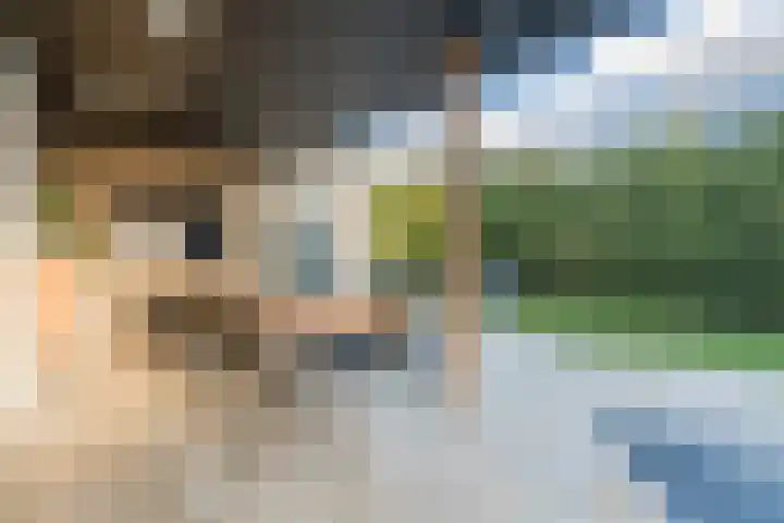 Grassijsje 12 Eindhoven thumbnail 52