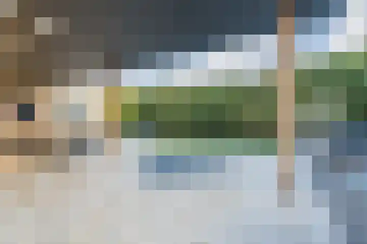 Grassijsje 12 Eindhoven thumbnail 55