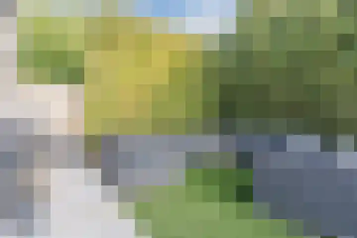 Grassijsje 12 Eindhoven thumbnail 56