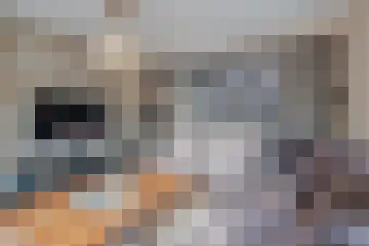 Grassijsje 12 Eindhoven thumbnail 6