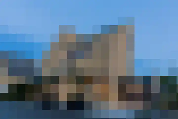 Grassijsje 12 Eindhoven thumbnail 64