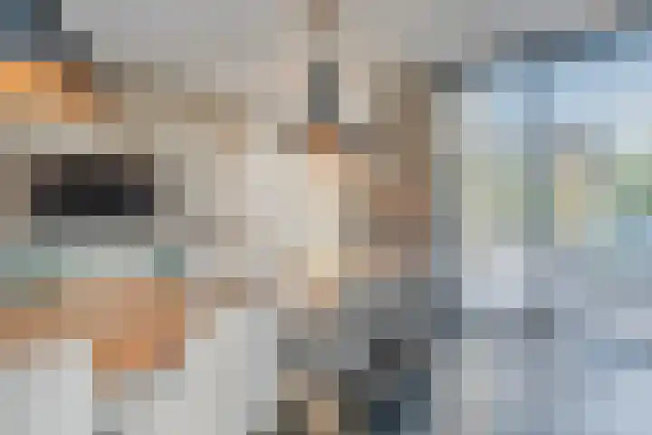 Grassijsje 12 Eindhoven thumbnail 9