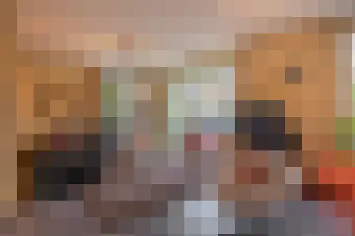 Grassijsje 7 Eindhoven thumbnail 10