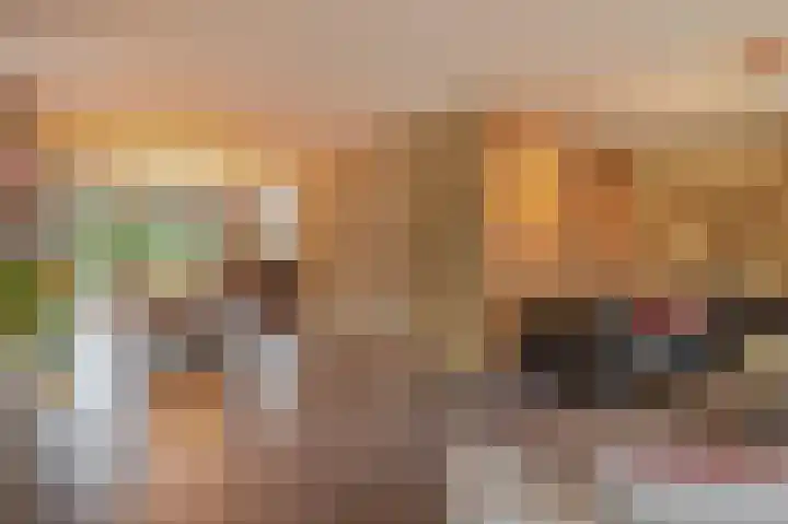 Grassijsje 7 Eindhoven thumbnail 14