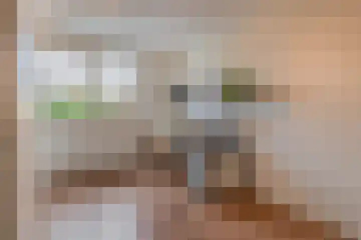 Grassijsje 7 Eindhoven thumbnail 32