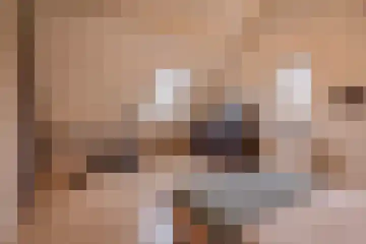 Grassijsje 7 Eindhoven thumbnail 38