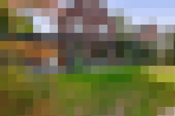 Grassijsje 7 Eindhoven thumbnail 42