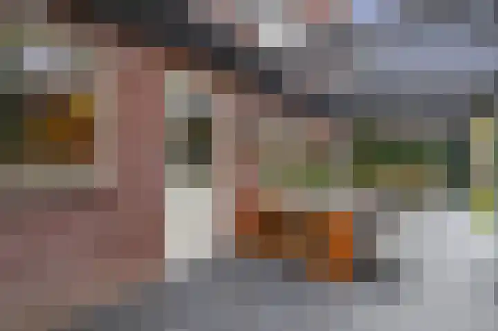 Grassijsje 7 Eindhoven thumbnail 45