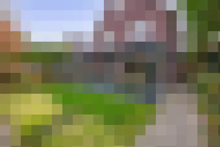Grassijsje 7 Eindhoven thumbnail 47