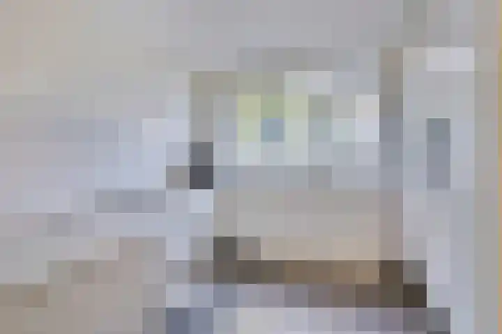 Grassnip 12 Eindhoven thumbnail 10