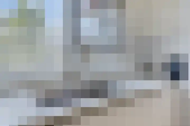Grassnip 12 Eindhoven thumbnail 11