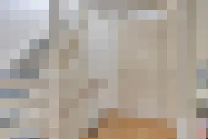 Grassnip 12 Eindhoven thumbnail 14