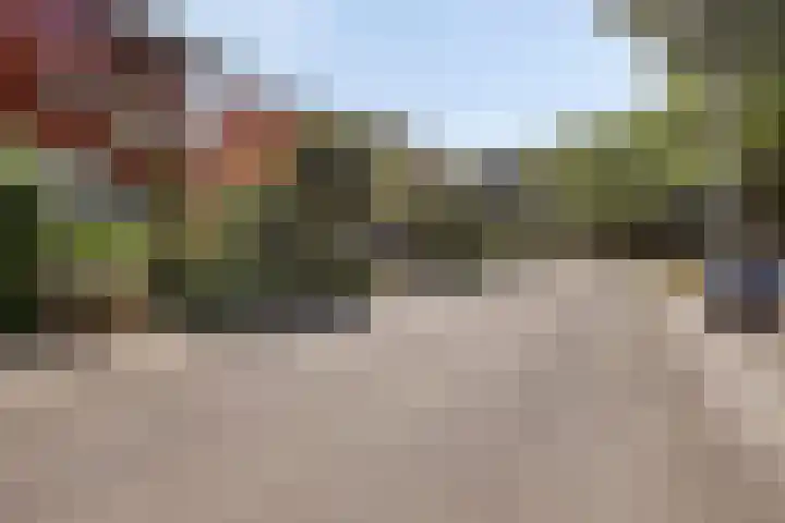 Grassnip 12 Eindhoven thumbnail 33