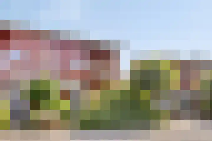 Grassnip 12 Eindhoven thumbnail 39