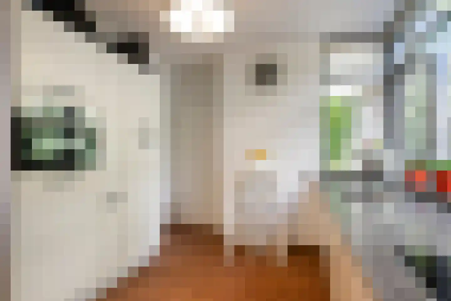 Grassnip 2 Eindhoven thumbnail 15