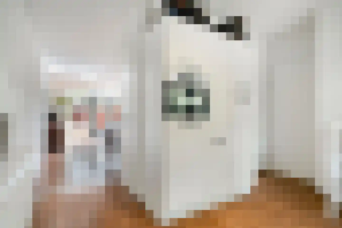 Grassnip 2 Eindhoven thumbnail 16